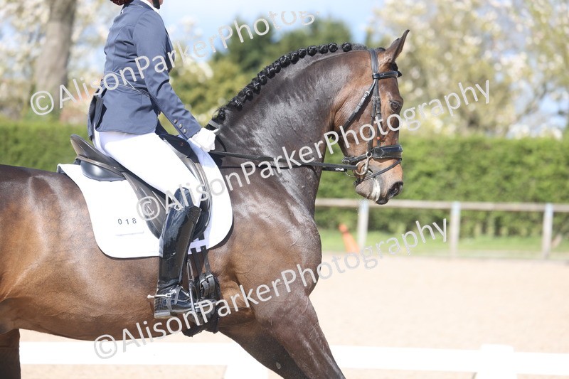 20260405-0629 - Class 7 - Medium 5