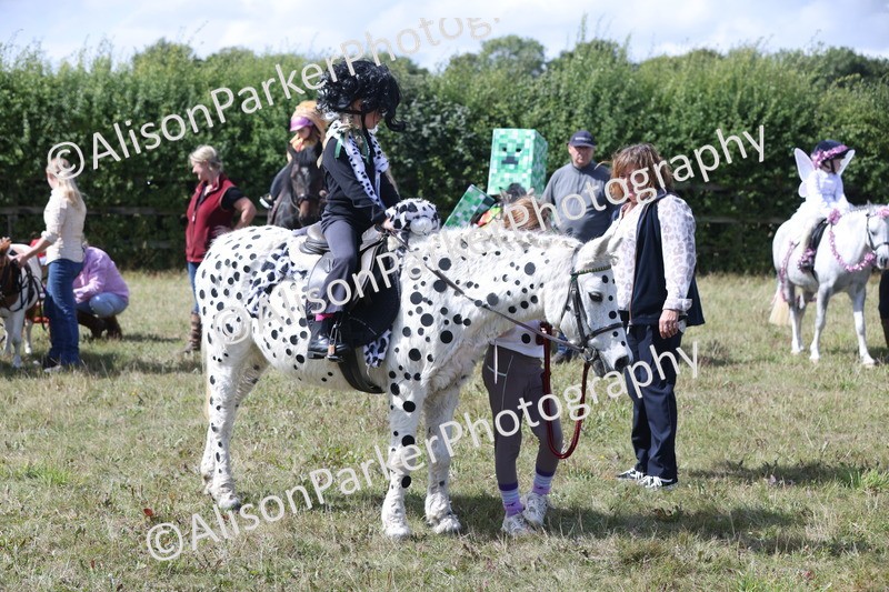 20250831-3467 - Class 26 - Fancy Dress