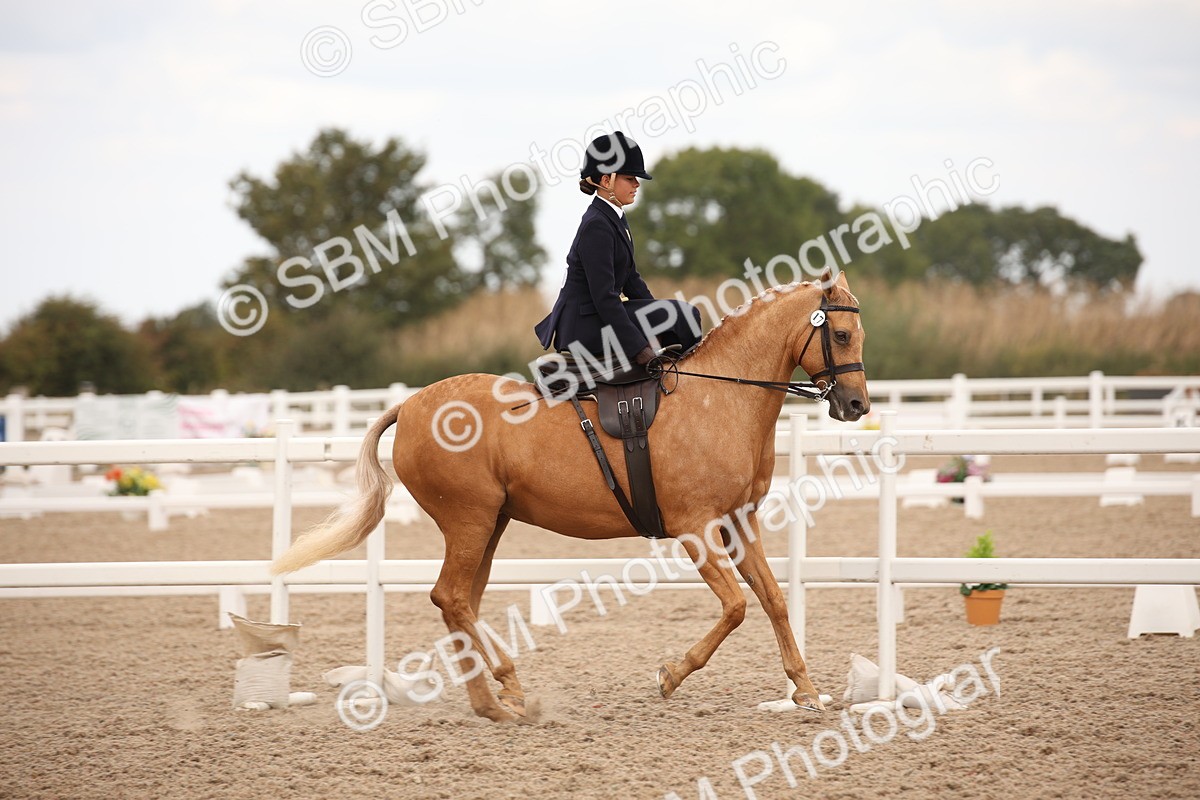 SBM_05329 - Class 22 SSA Equitation