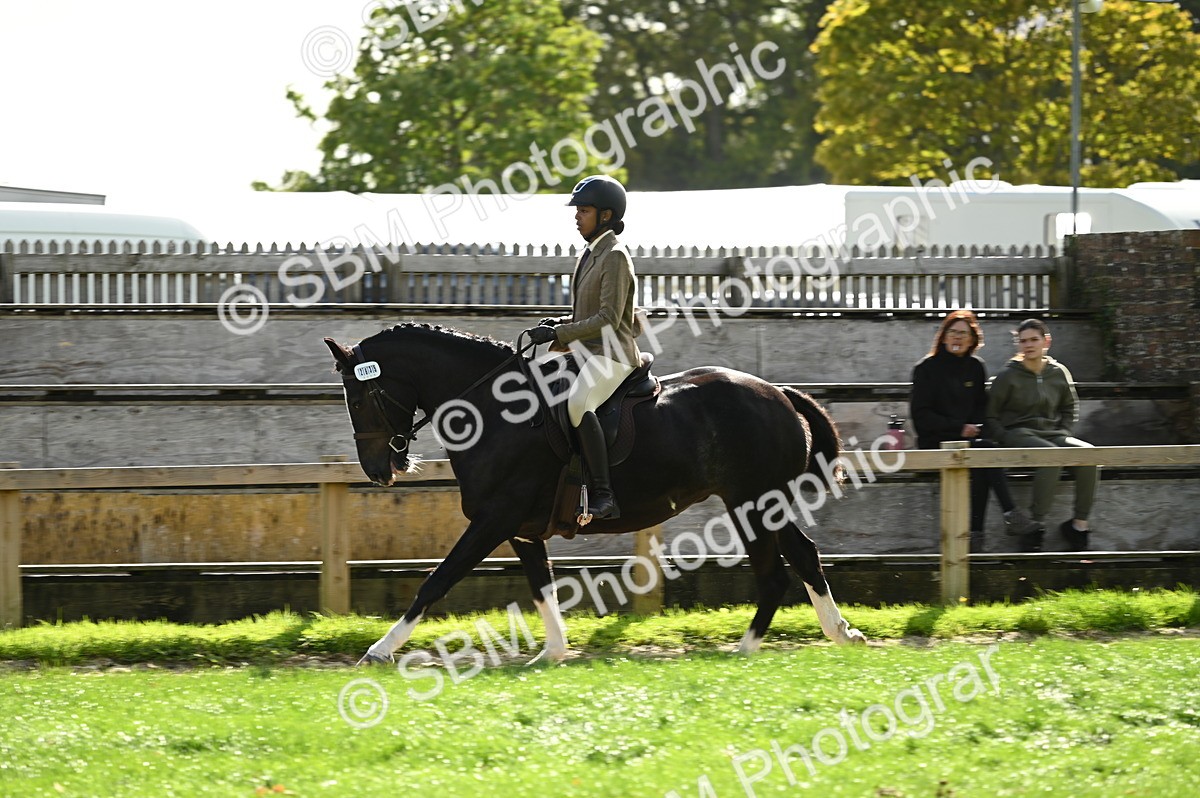 SBM_01934 - S2 - TSR Ridden Horse Showing