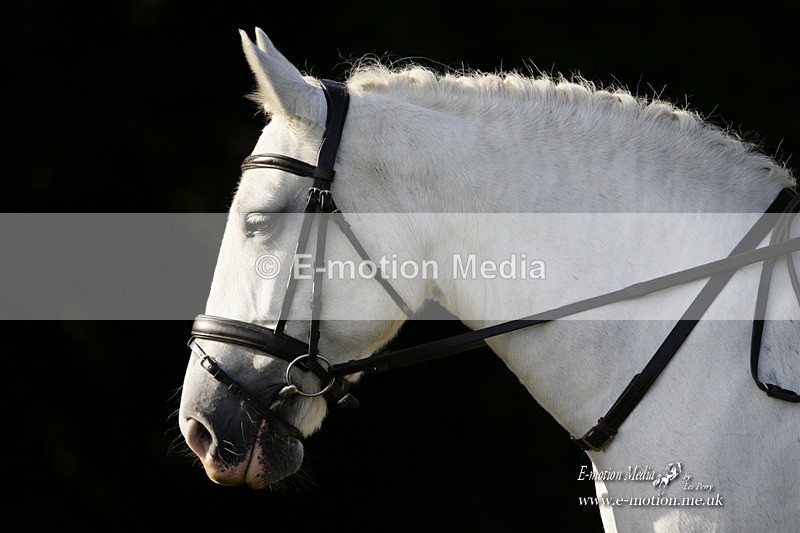 BVRC 120921 74 - Bourne Valley Riding Club UA Dressage & Show Jumping 12/09/21