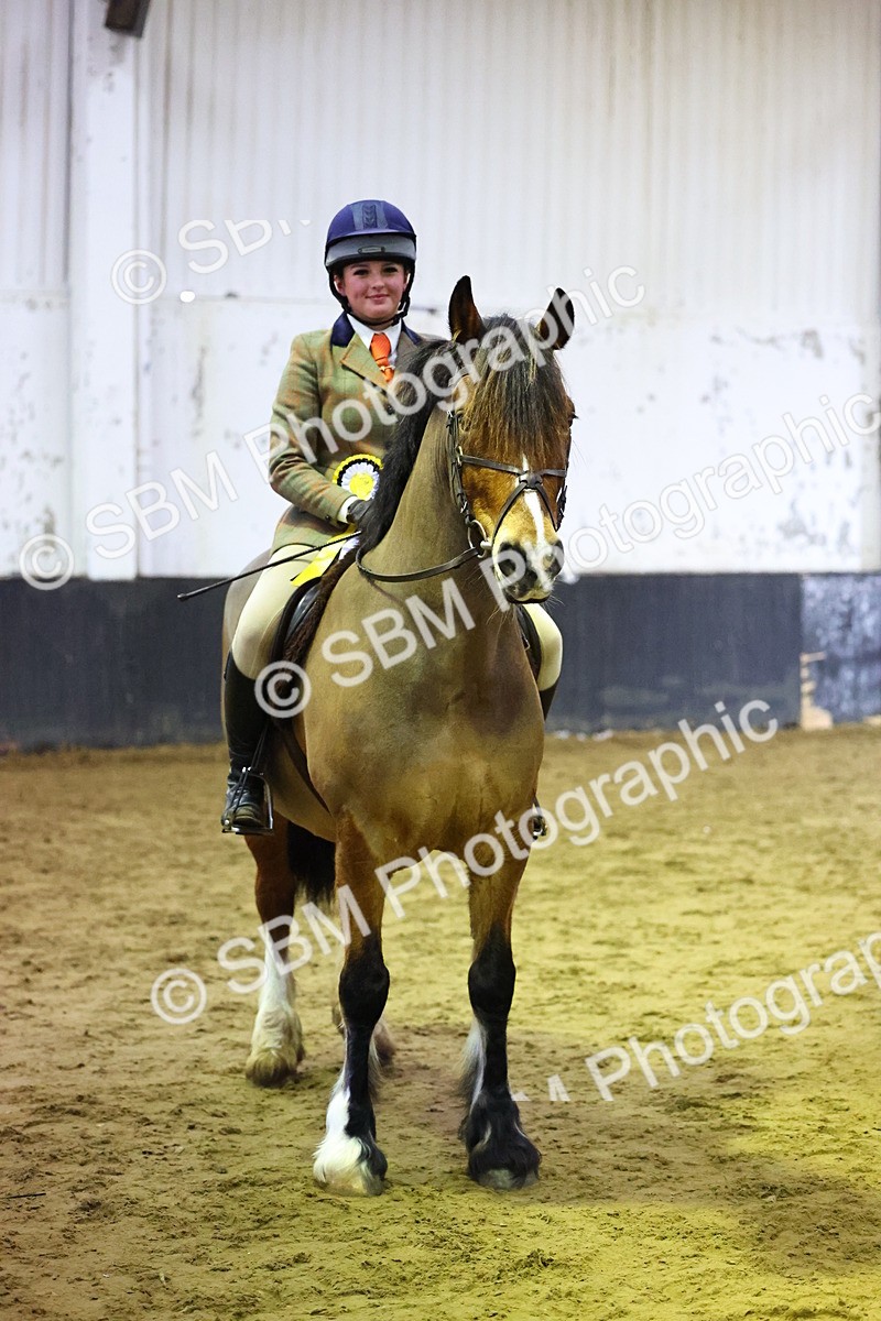 SBM_006655 - Class 43 - RIHS Qualifier Exceeding 43cms