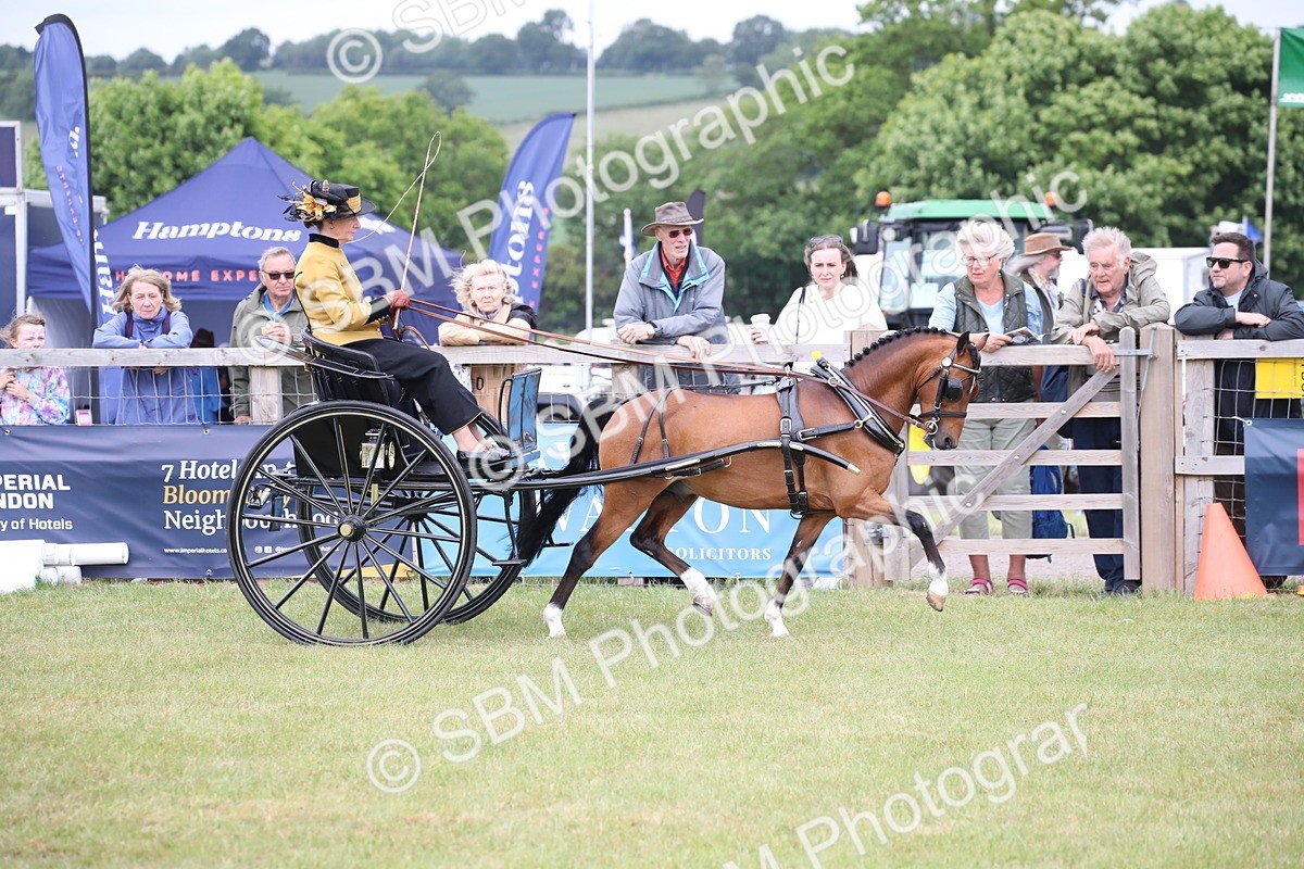 SBM_05887 - Class 12-15 - HOYS Private Driving