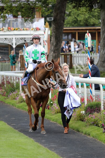 yr24072021r2-21 - Race 2 2.40pm Sky Bet Dash