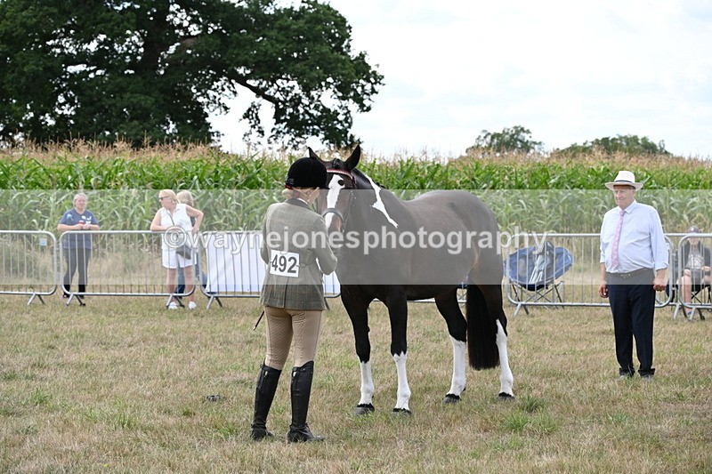 WJ6_6220 - Class 19 In-hand Veterans (Uploaded correct folder)