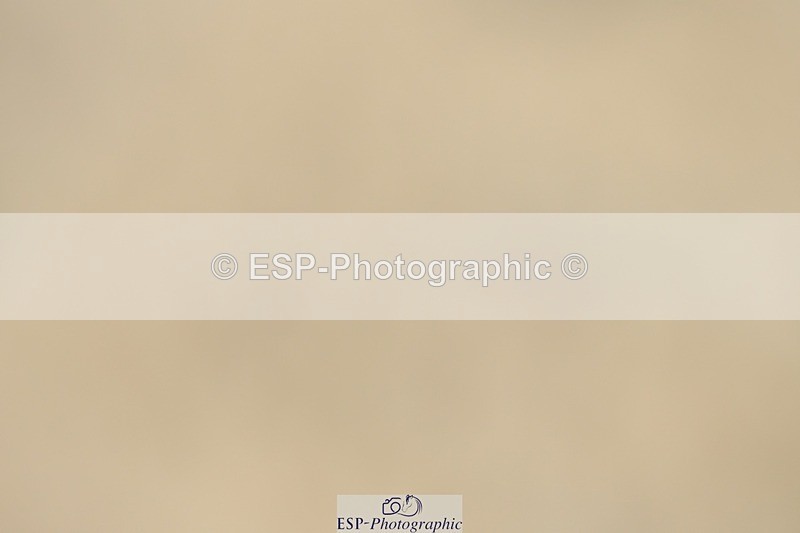 230623-145419-01079 - Cls 5 Elementary 43