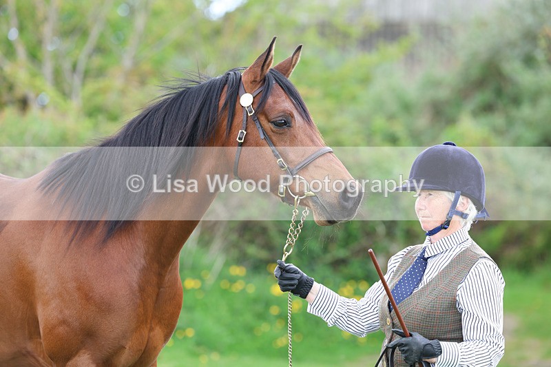 3E7A0875 - In Hand Championship