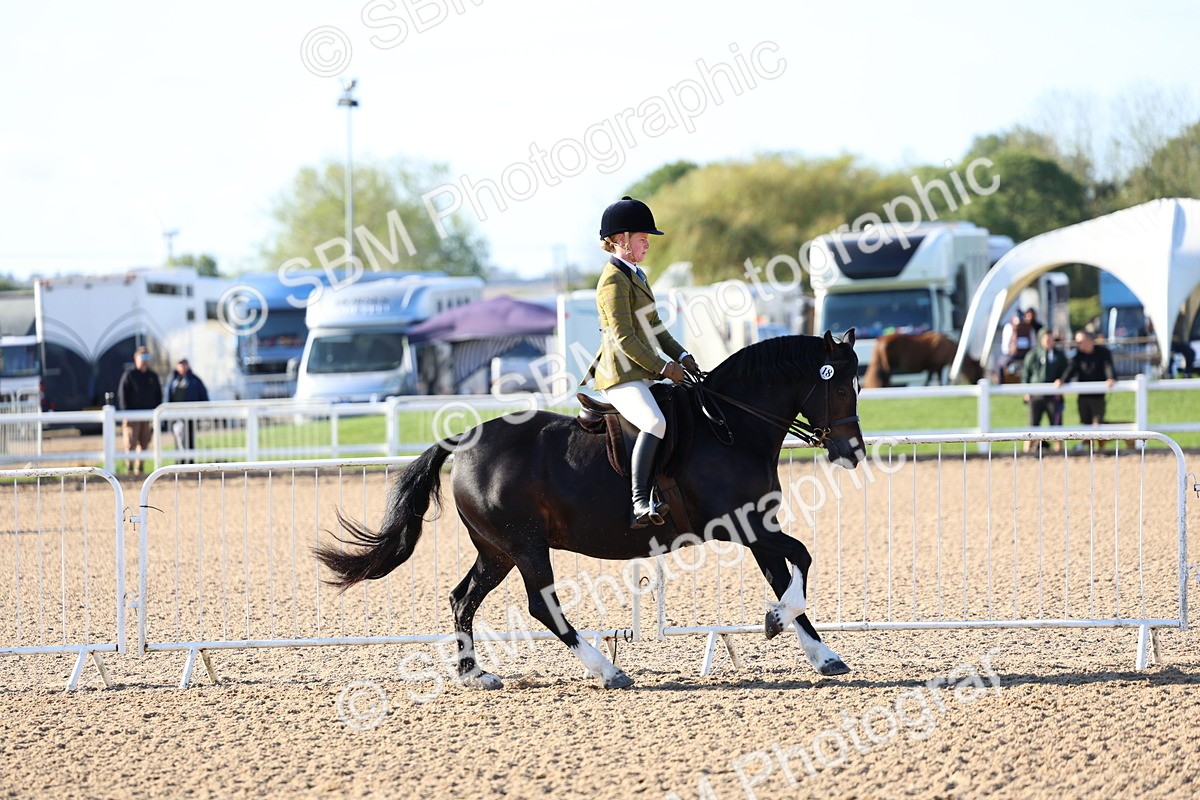 SBM_08777 - Class 302 - Ridden M&M - Large Breeds