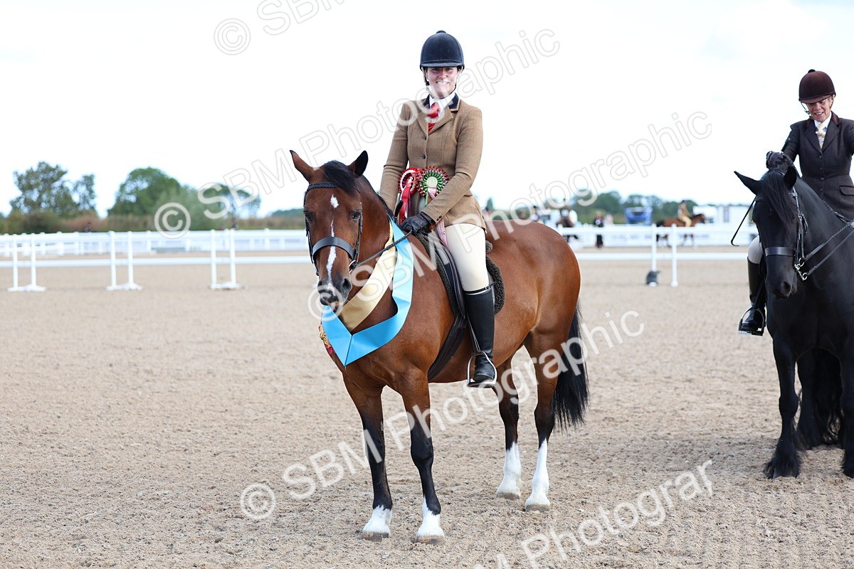 SBM_08964 - Class 302 - Ridden M&M - Large Breeds
