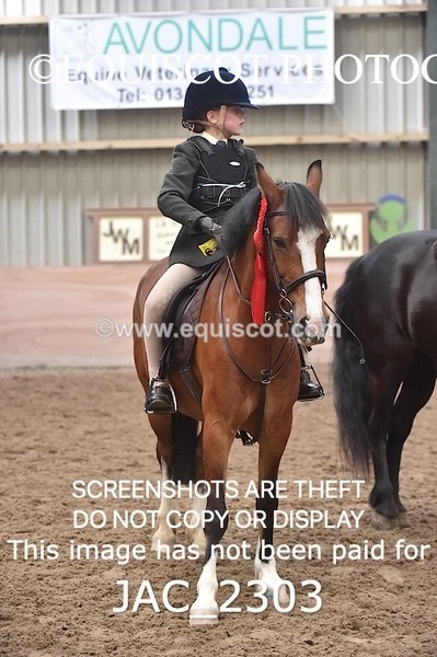 JAC_2303 - CLASS 2 Novice Working Hunter