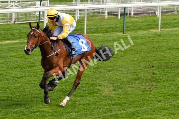 yr12052021r5-14 - Race 5 3.40pm Sky Bet Stakes