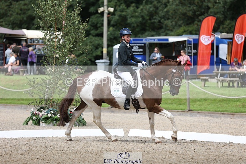 230812-121505-03969 - Cls 5 Novice Bronze 11.15 to 12.50 break