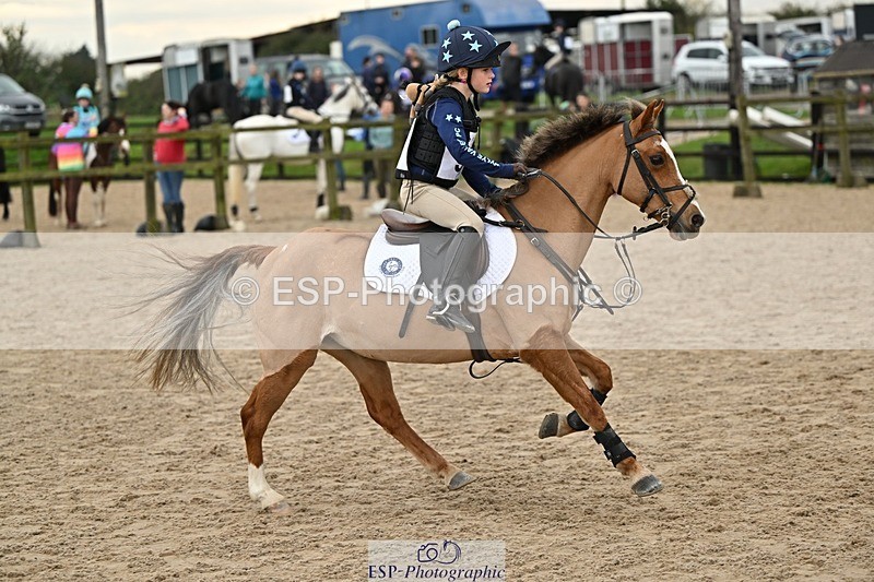 241110-134701-00935 - 60-65cm Arena Eventing