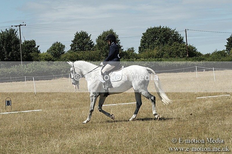 _PJP5904 - Dressage Classes BVRC Show 2018