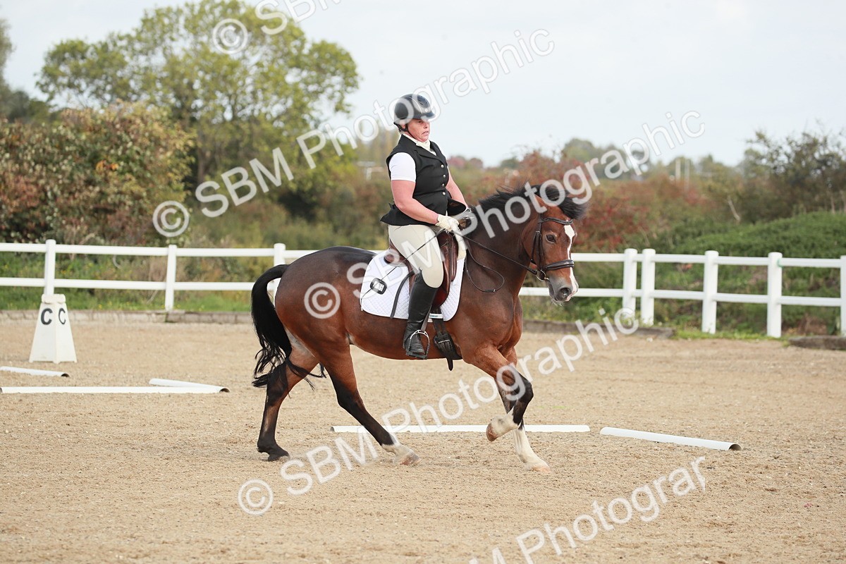 SBM_002203 - Class 6 - Elementary 5