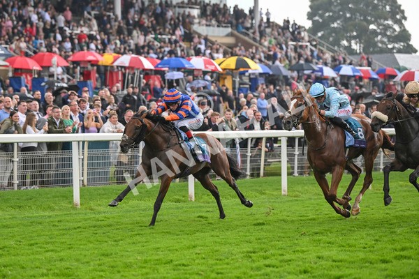 080924-Race 4-Zain Blue-9238 - Race 4 3.25pm PJ Staffing Group Handicap