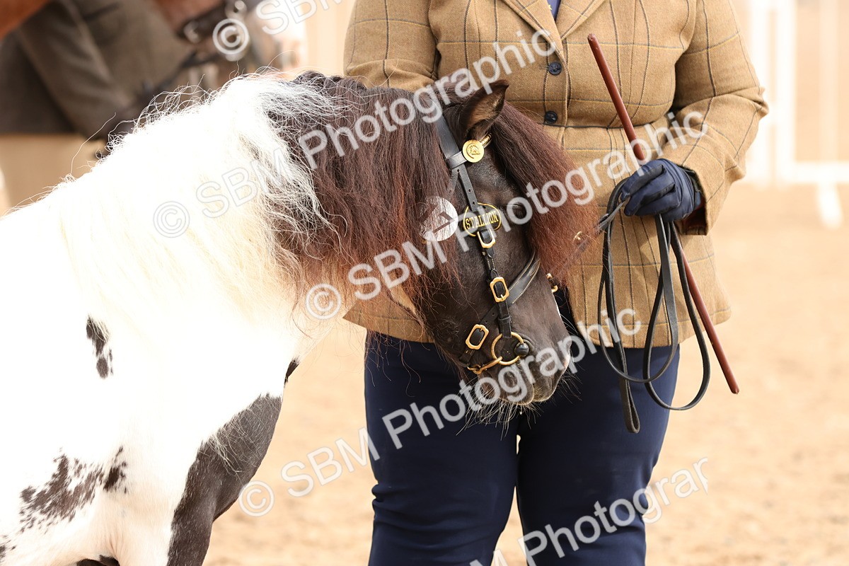 SBM_10332 - Class 206 - IH Non Show Type Pony