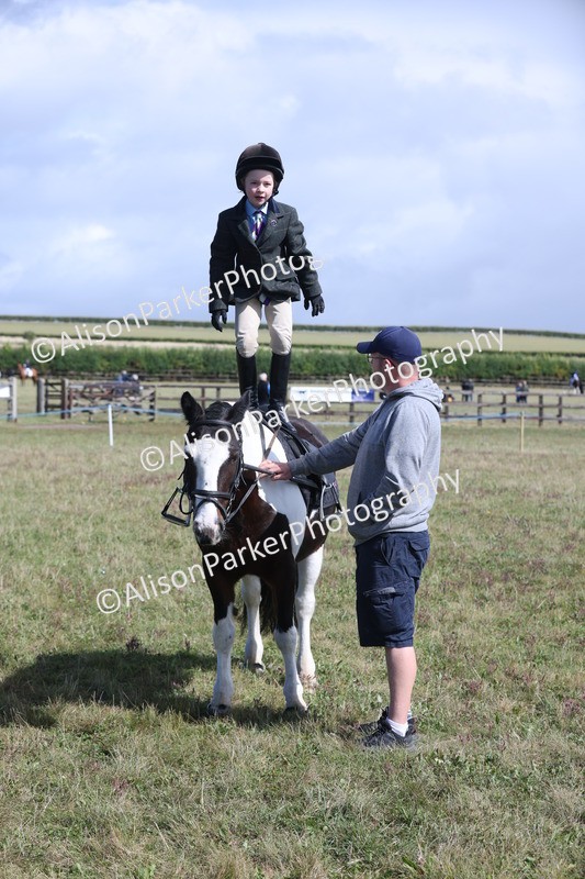 20250831-2495 - Class 16 - Family Pony