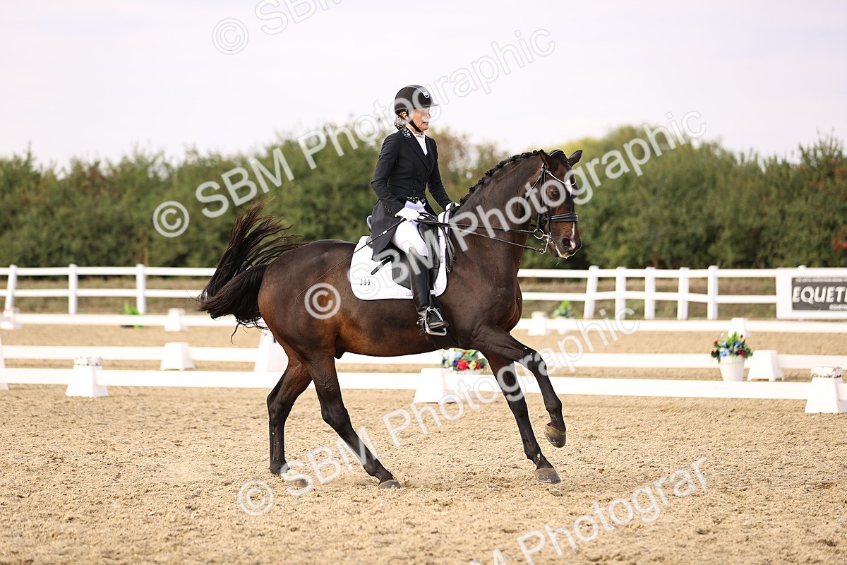 SBM_015554 - Class 11 - FEI PSG