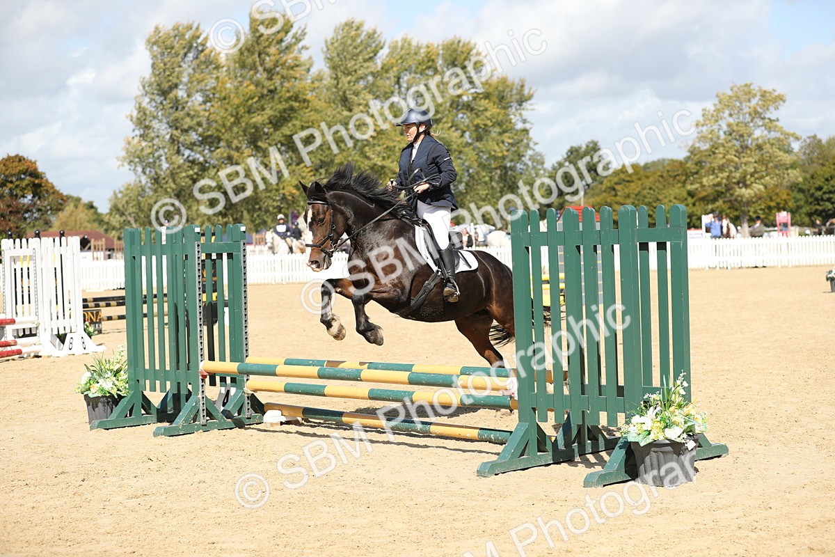 SBM_05616 - J35 - Veteran Rider 60cm
