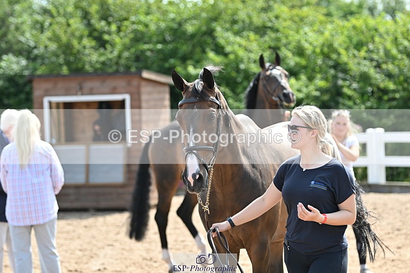 240717A-154626-03059 - Trot Up 3pm to 4pm