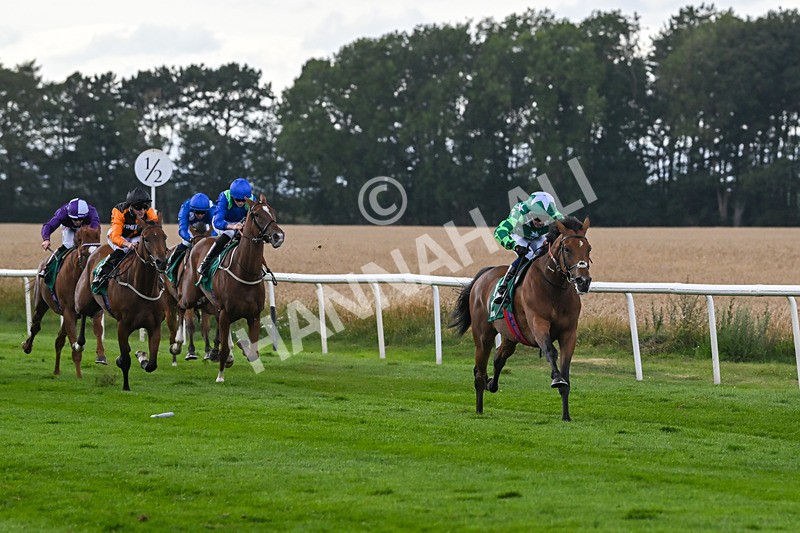 080825-Race 5-Paddy The Squire-2644 - Race 5