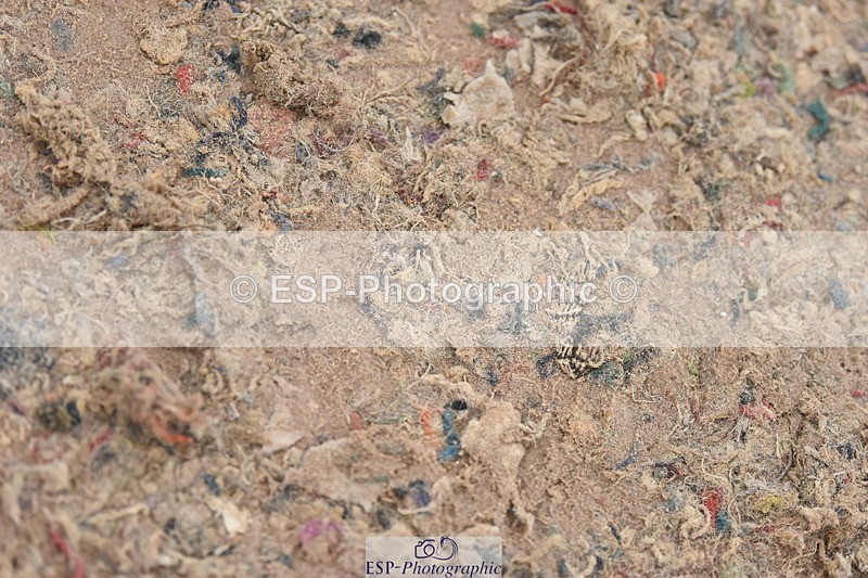 230917A-141016-07302 - Cls 36 1.05m Amateur Qualifier