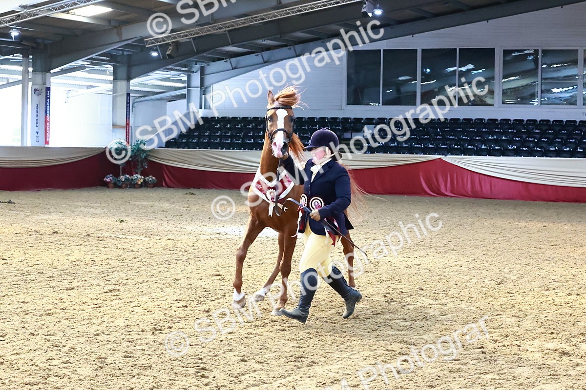 SBM_22460 - Class 902 - Supreme Final - IH Diamond