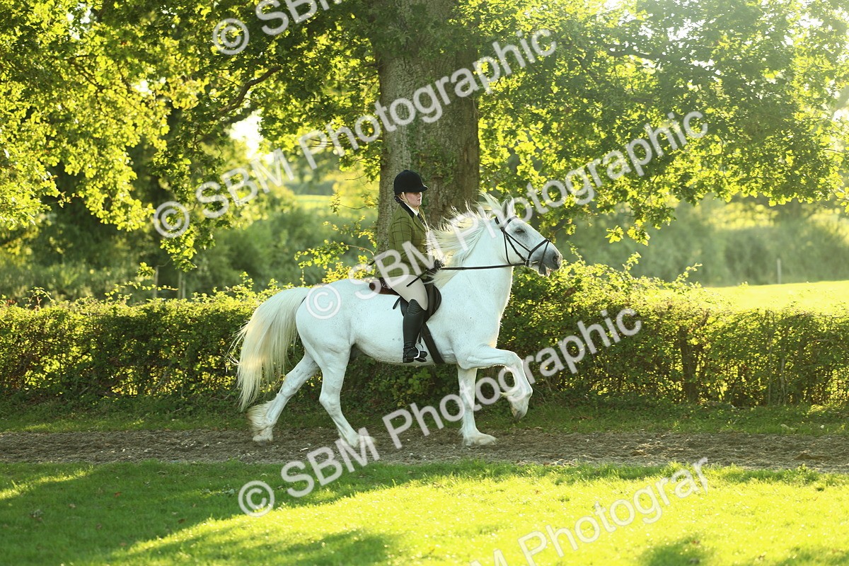 SBM_55621 - S14 - Riding Club Horse