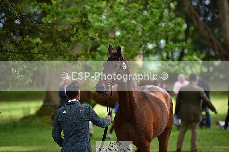 240522-145954-00028 - 301-CAMOUFLAGE-Alexander_Bragg