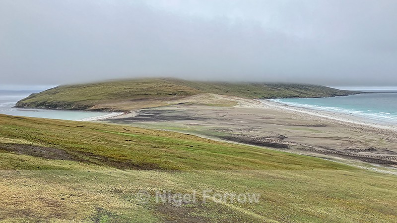 The Neck, Saunders Island, Falklands - Falkland Islands