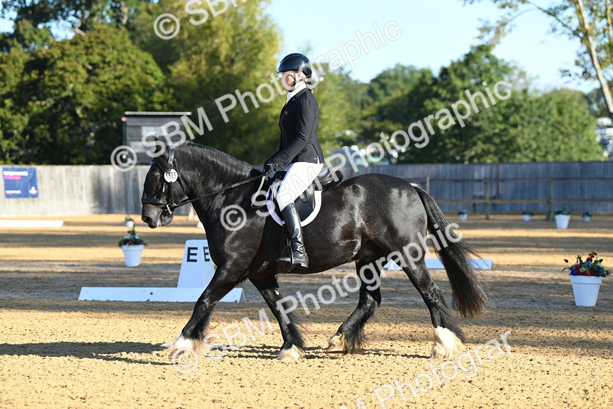 SBM_14511 - D4 - Small Tour Championship - Intro B