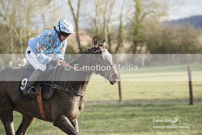PtP 180323 1535 - Shelfield Park Races with Croome & West Warwickshire Hunt  18/03/23