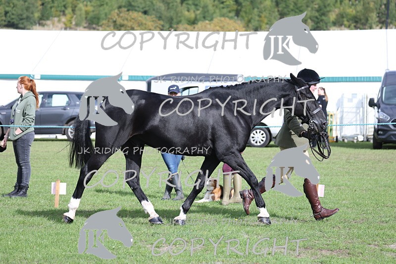 APP_2579 - Class 9 Veterans in hand