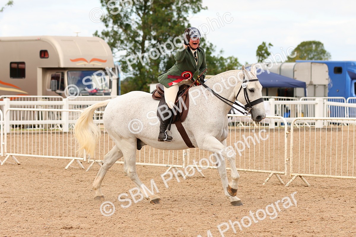 SBM_15619 - Class 214 - Ridden Show Cob