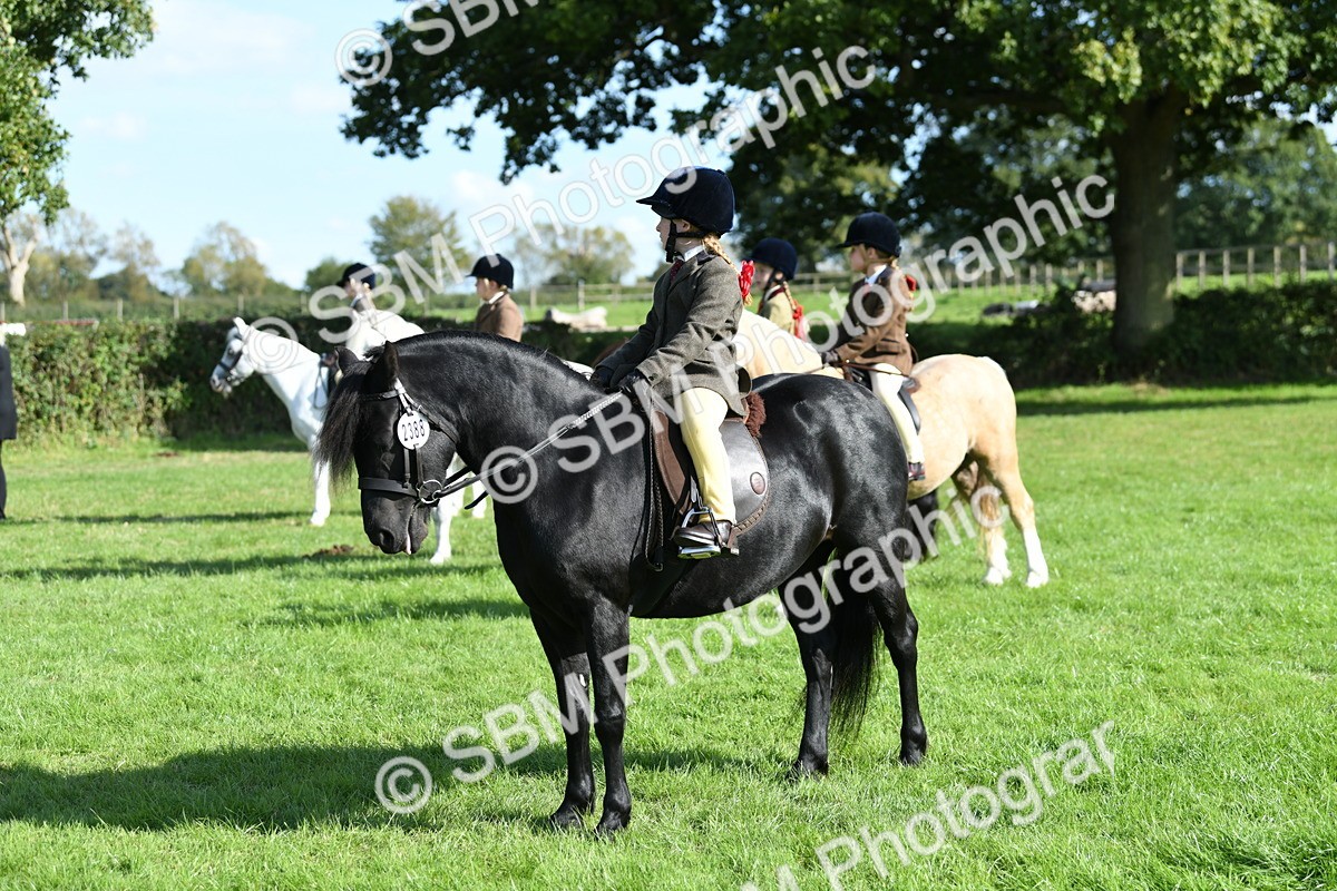 SBM_50355 - S21 - Novice & Newcomers 1st Ridden Pony