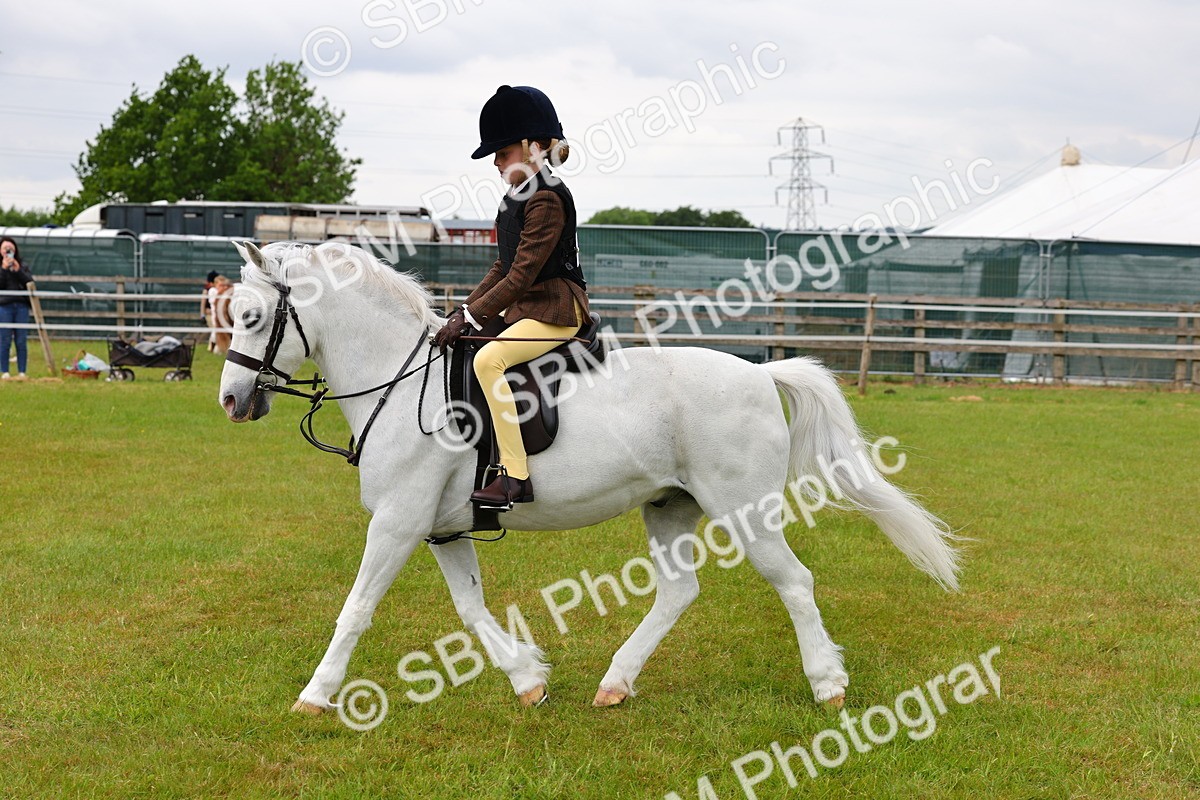 SBM_08656 - Class 42-43 - LIHS BSPS Heritage Working Sports Pony