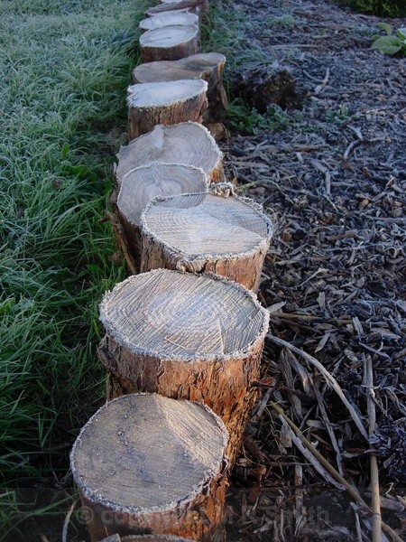 Frosty Logs - MACRO & CLOSE UPS 2