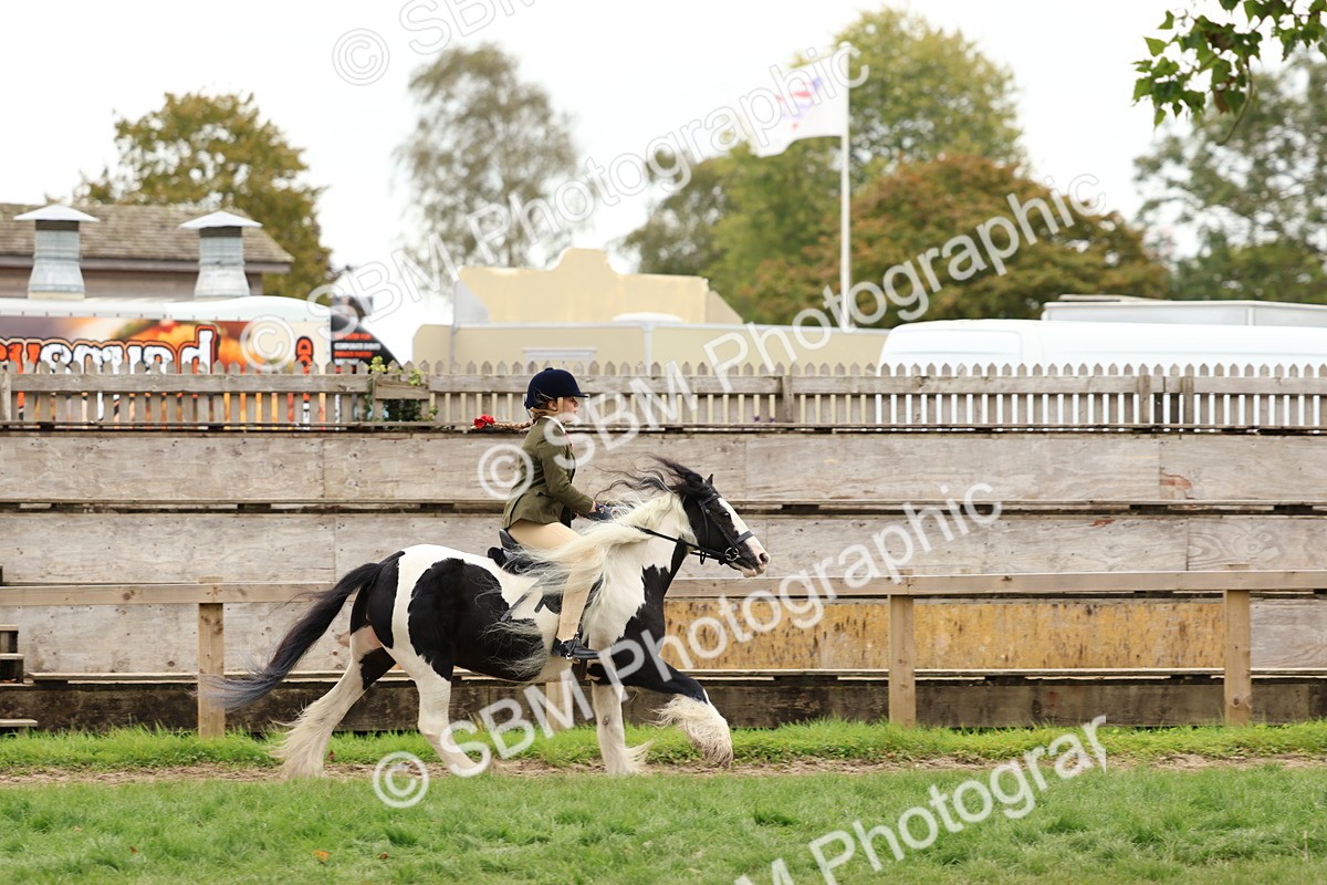 SBM_64526 - S58 - Coloured Pony Ridden