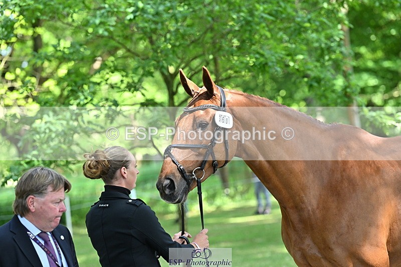 250521A-154417-00727 - B-360-Lucy.K.Wheeler-KING.CREOLE.VD.N.RANCH