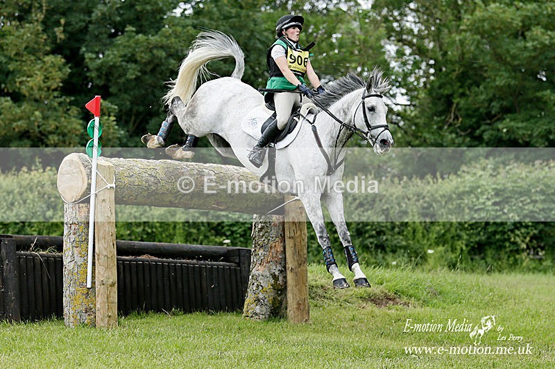 BE160619 1055a - Equestrian