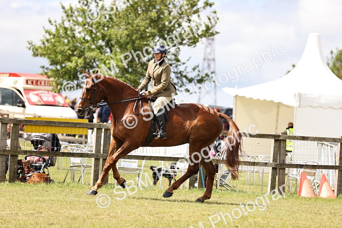 SBM_14725 - Class 88-89 - LIHS BSHA Rising Star of Ridden Hunter Type