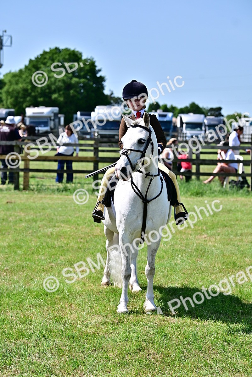 SBM_14018 - Class 95-97 - BSPS LHS Performance Ponies