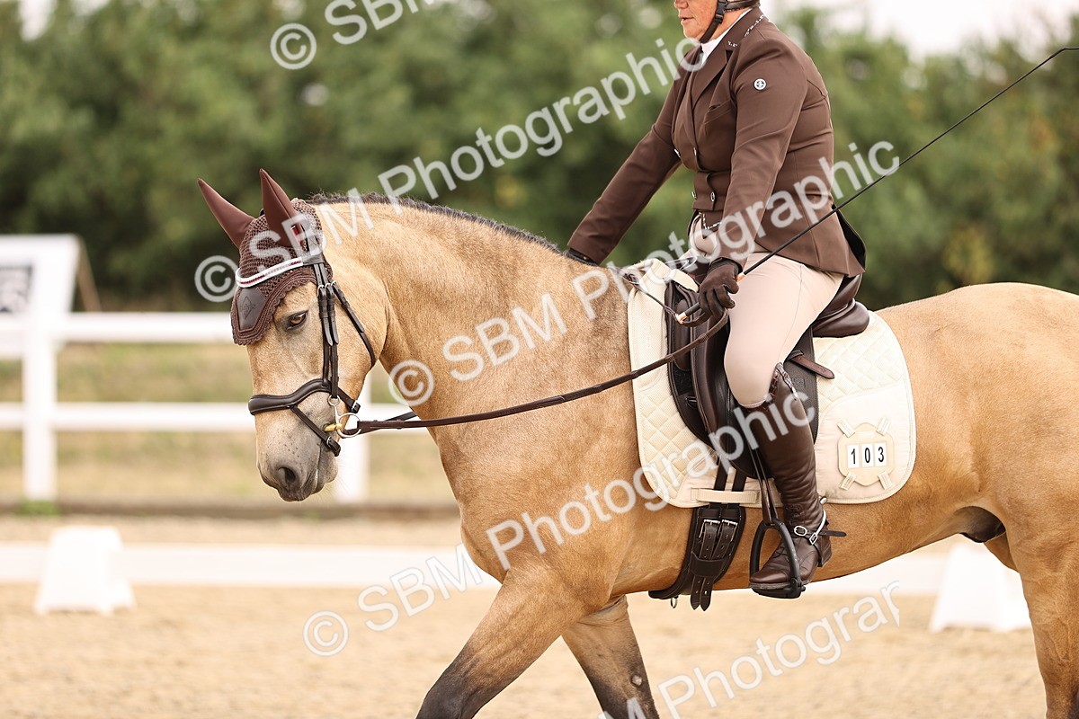 SBM_006447 - Intro 3 - 9.46-10.46