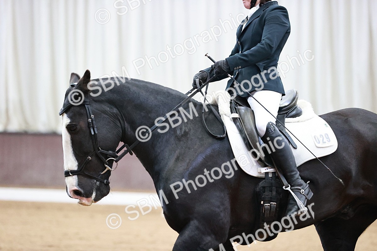 SBM_000345 - Class 5-8-14 - Prem-Nov-Tango - FSM