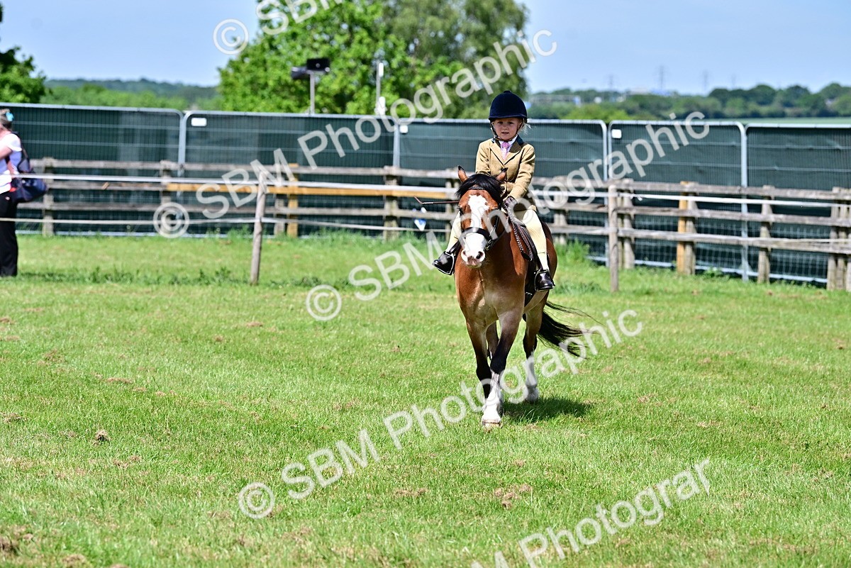 SBM_06113 - Class 59-60 - TSR M&M  Lear Rein and First Ridden Amateur of the year