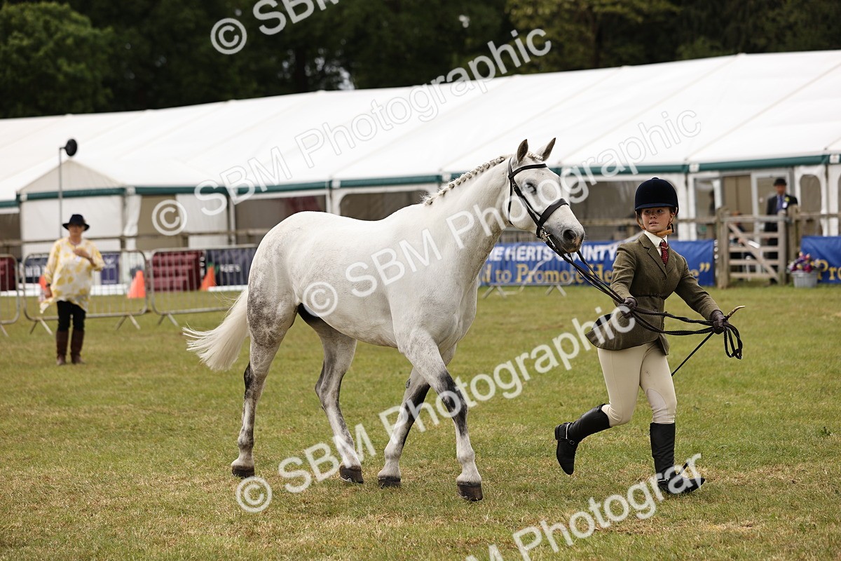 SBM_14617 - Class 88-89 - LIHS BSHA Rising Star of Ridden Hunter Type