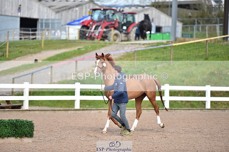 240417A-150750-00740 - 3pm to 4pm