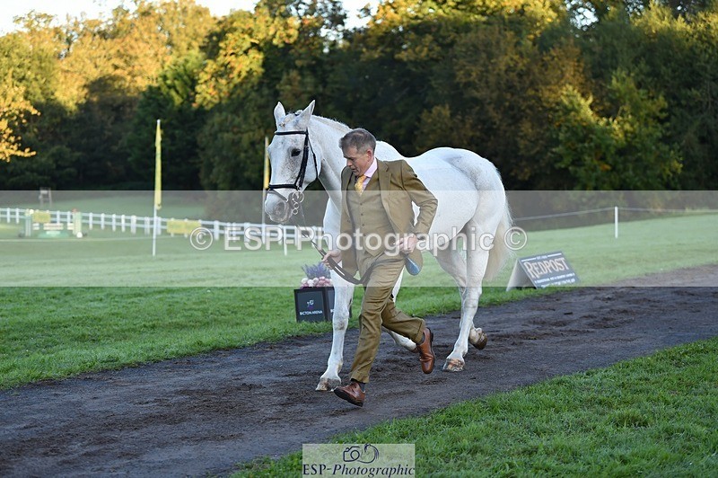 231022-084214-21301 - 608-SIR.HAROLD-William.Cursham-TrotUp+SJ