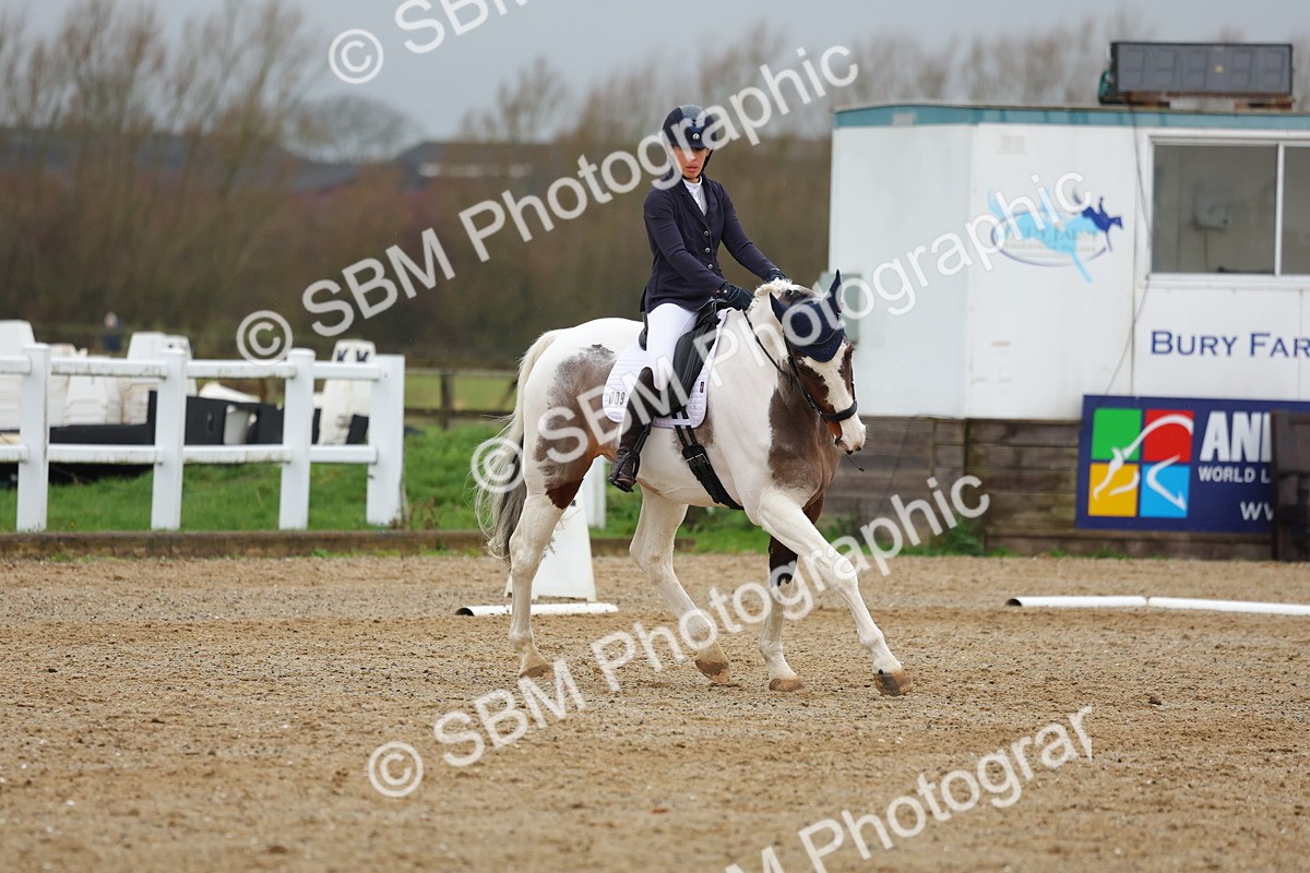 SBM_003604 - Class 7 - Novice 6